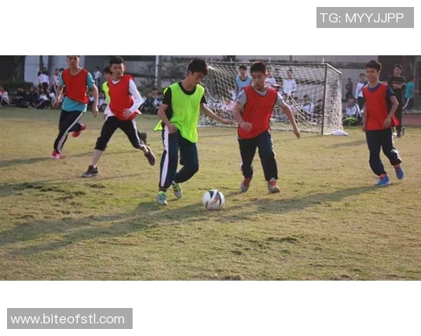 激情四溢的足球文化节盛宴展现多元文化与团结精神的完美结合