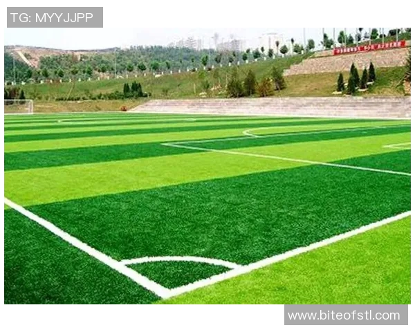 足球绿色直播助力环保理念传播打造可持续发展的体育文化新风尚